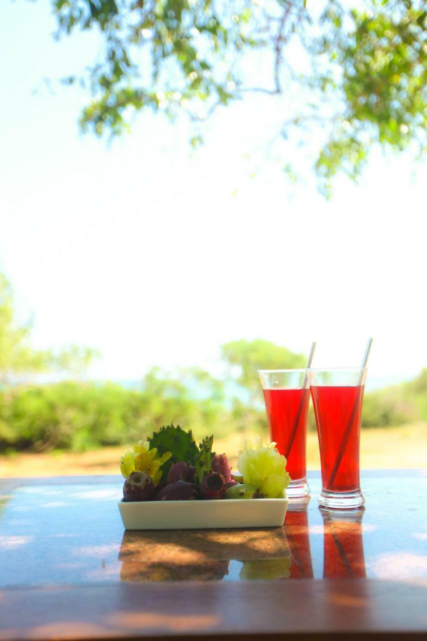 Nil Sisila Beach Resort Yala Dış mekan fotoğraf